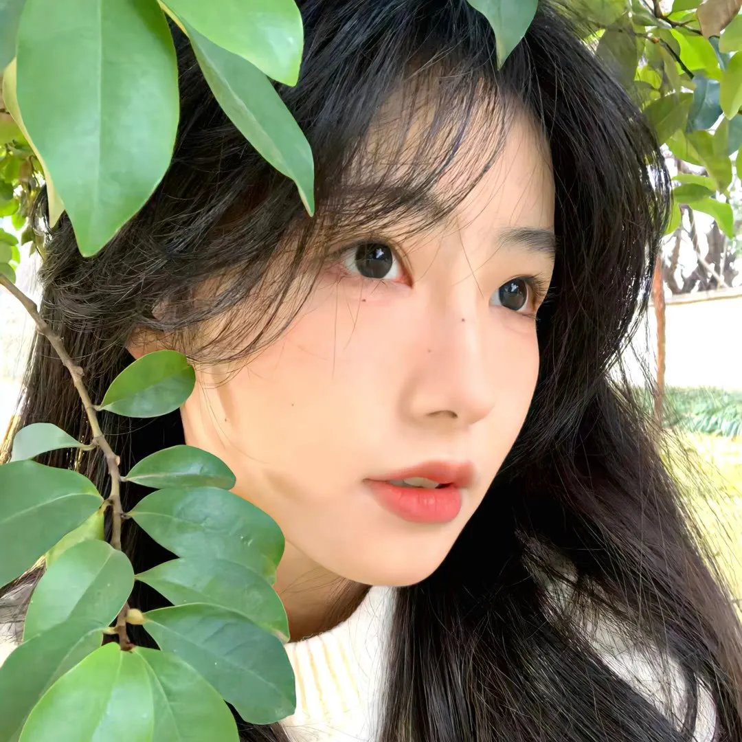 镜面奇情